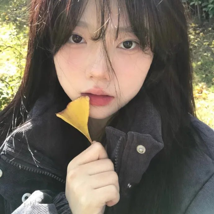醉好的时光